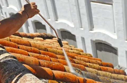 Nettoyage de toitures - Plateau-des-Petites-Roches